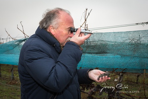 Trockenbeerenauslese. Willi Opitz Weingut